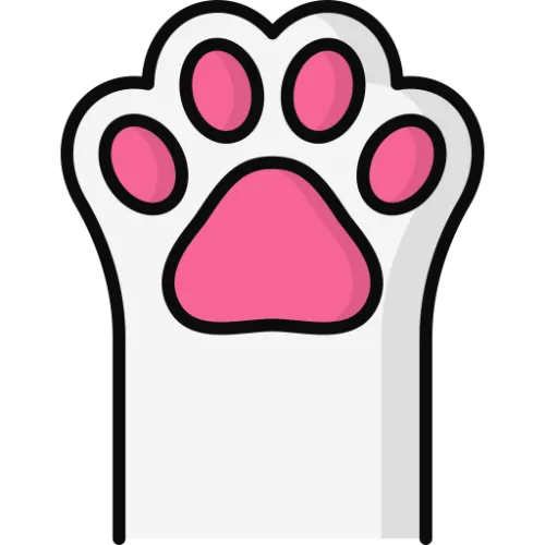 Gatinhos de Brusinhas icon