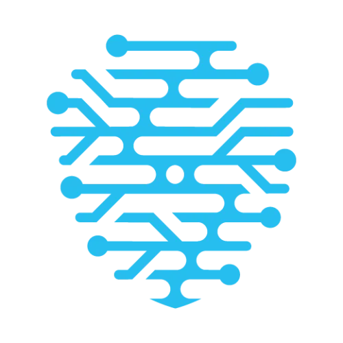 privacyofficers.at icon