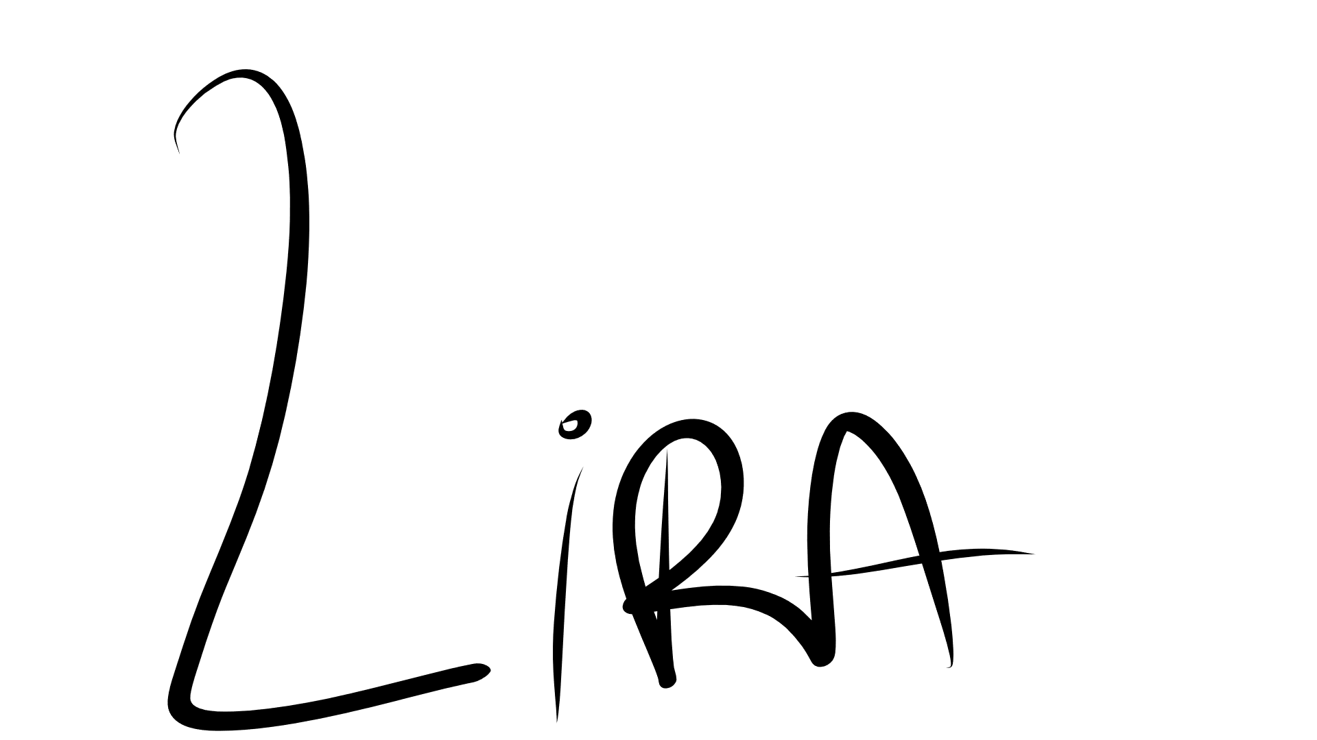 Lira&Co icon