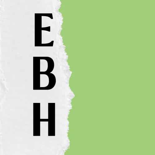 Everything is Behavioral Health icon