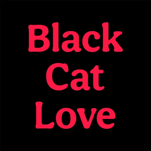 Black Cat Love icon