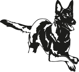 Mondioring Norge icon