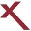 Security Praxis icon