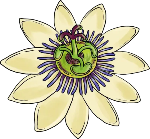 Project Passiflora icon