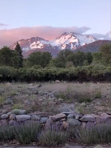 Mount Shasta Be(e) icon