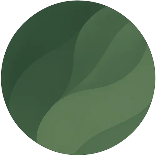 Patrick Bollenbach icon