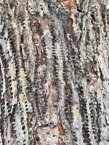 A favourable combination of circumstances, time, and place. icon