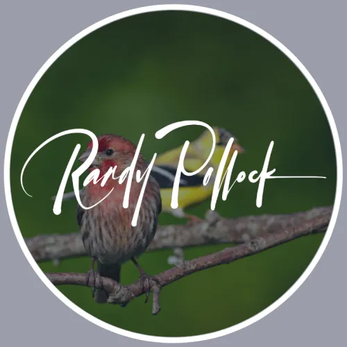 Randy Pollock icon