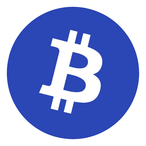 Was Bitcoin bringt. icon