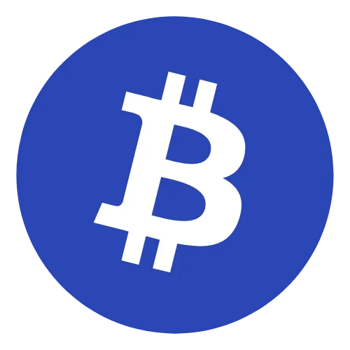 Was Bitcoin bringt. icon