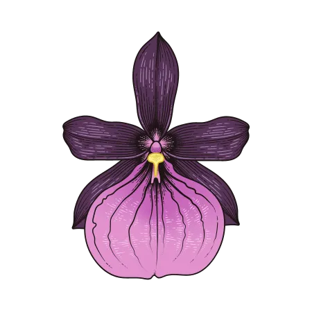 Dan's Orchid House icon