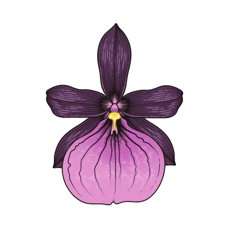 Dan's Orchid House icon