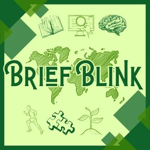 Brief Blink icon
