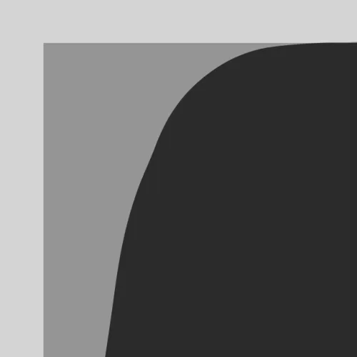 In Automatic icon