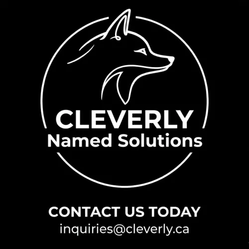 Cleverly icon