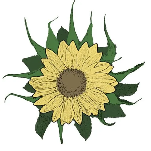 Climate Story Garden icon