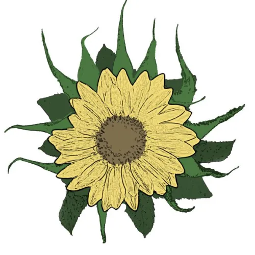 Climate Story Garden icon