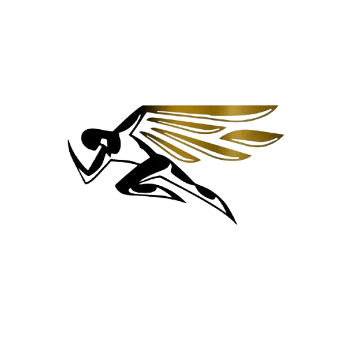 Elite Bounce icon