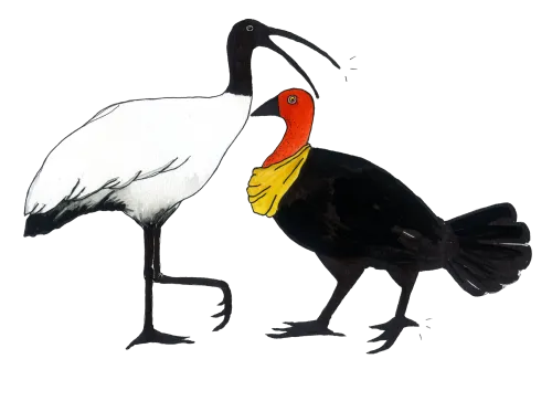 Jonathan Sriranganathan icon