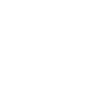 Pareto Codex icon