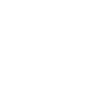 Pareto Codex icon