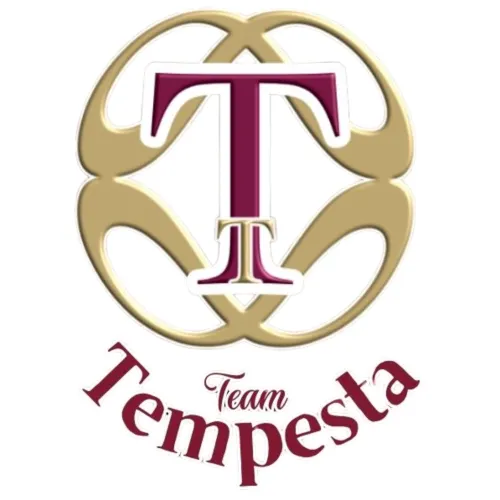 iTempesta | icon