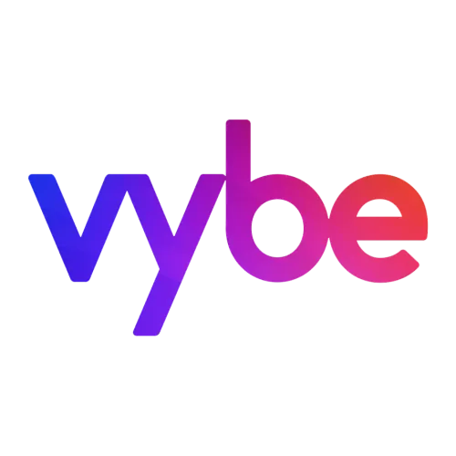 vybe icon
