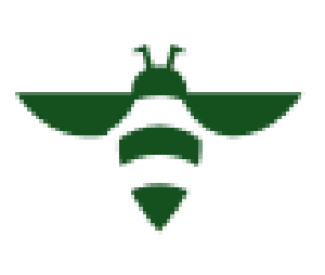 Bee Resonance Project icon