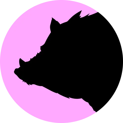 DZPK icon