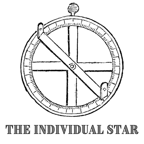 The Individual Star icon