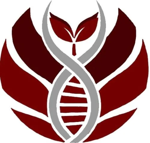 Blog | HCOR - Health Consulting Rieger icon