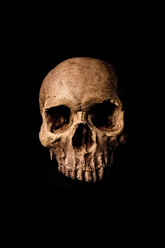 Terror Management icon