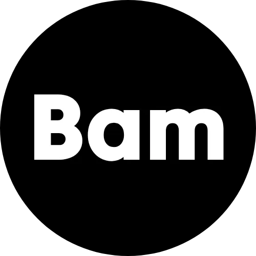Bamster icon
