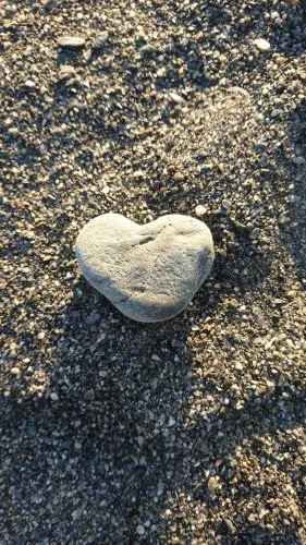 El Camino Amarillo icon