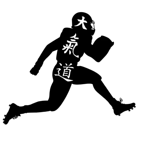 The Fitness Index icon