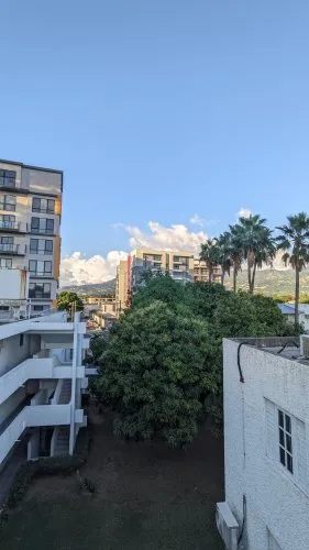 Edith in Xaymaca icon