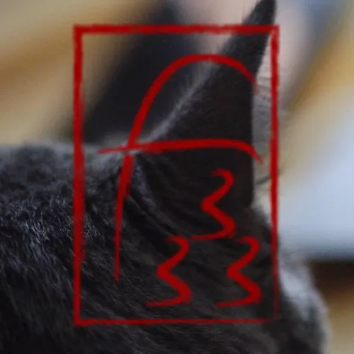 Digital Tea Room icon