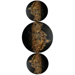 Adélaïde Leferme icon