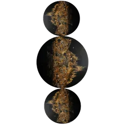 Adélaïde Leferme icon