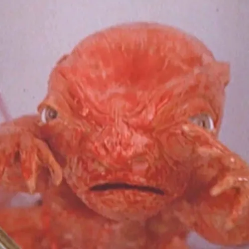 witchbutter.audio icon