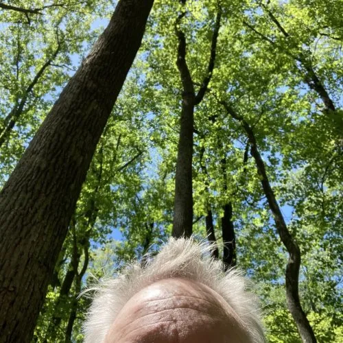 Last Night I Dreamed I Was You icon