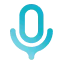 Voicy Accessibility icon