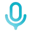 Voicy Accessibility icon