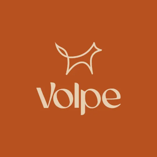 Volpe Journal icon