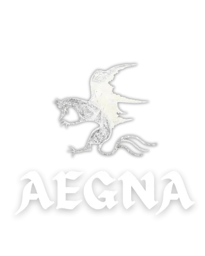 EAGNA icon