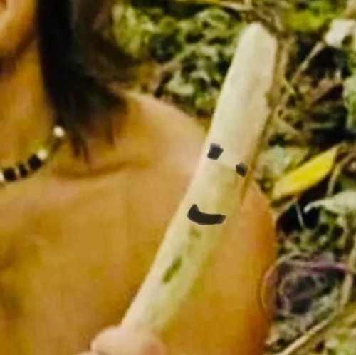 Survivor Stick Productions icon