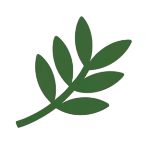 The Witness Journal icon