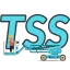 TSS Dessau icon