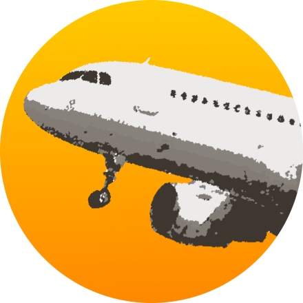 The Flight Sim icon