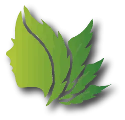 Trixi Formulations icon